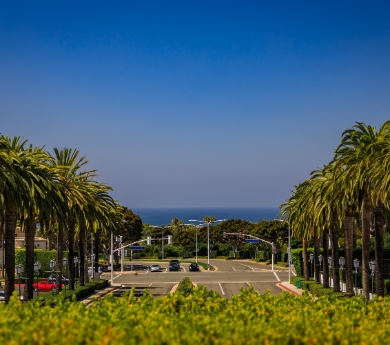 Looking down the palm tree lined street in Corona Del Mar with the ocean in the distance.